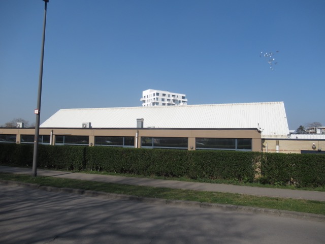 Zonder titel.
