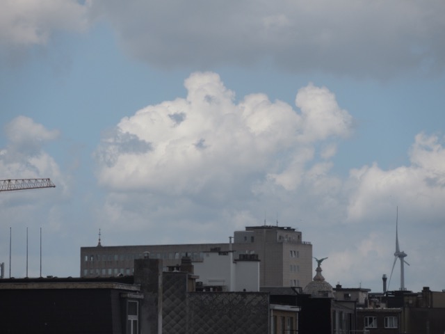 De viswolk (meestAl op vrijdAg).