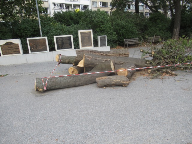 GevAllen voor het vAderlAnd