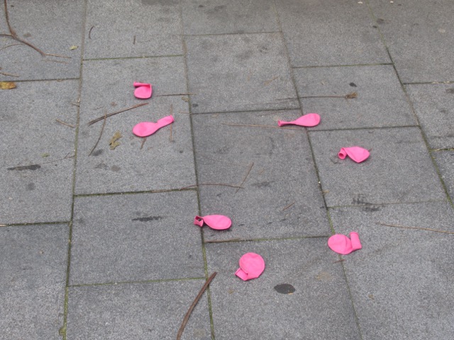 Géén_rozenblAAdjes