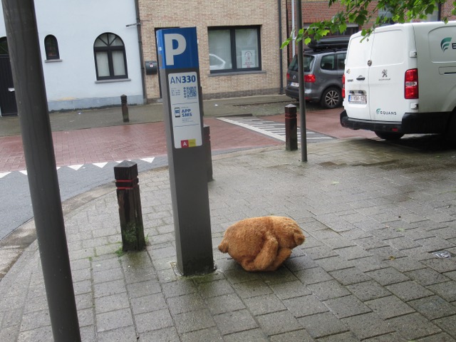 De pArkeerbeer