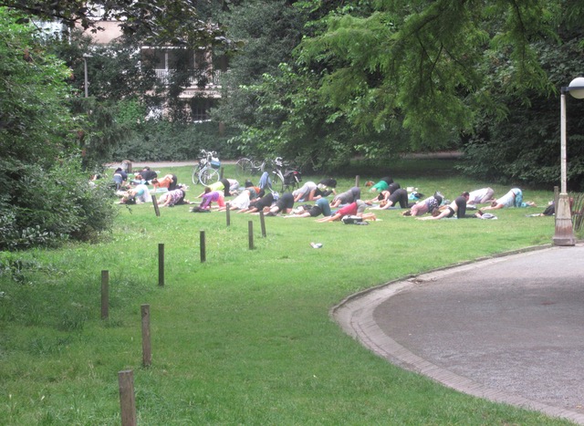 GrAssnuiven in het pArk