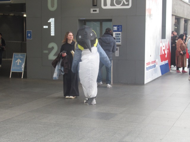 Pinguin en fAn