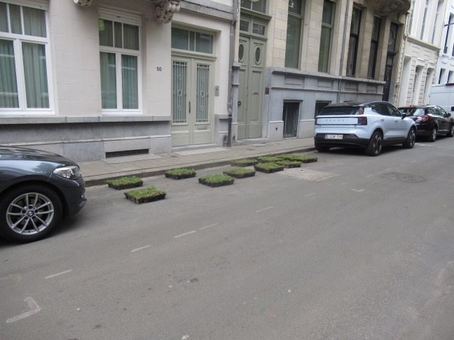 No pArking groenzone
