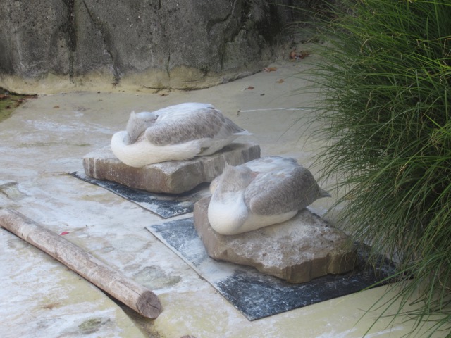 PelikAnenkussens