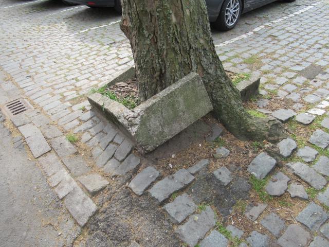 De boom wint.