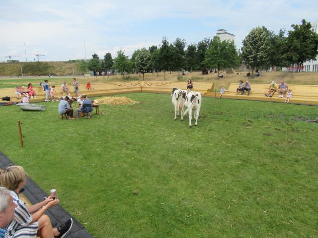 WeilAnd met koeien (deel 2)