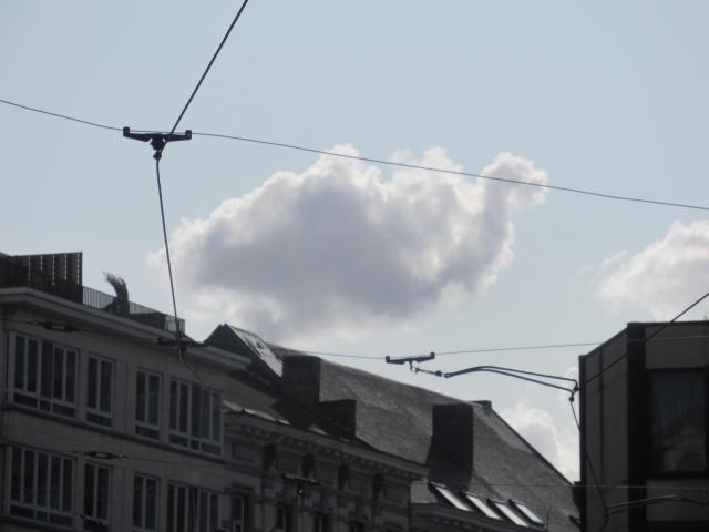 De kAmeelwolk.