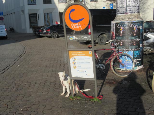 Honddelen