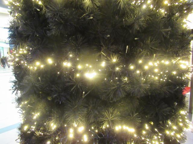 De lichtjes...