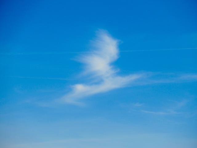 ŠKODA-wolk.