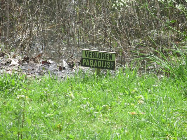 Verloren... pArAdijs.