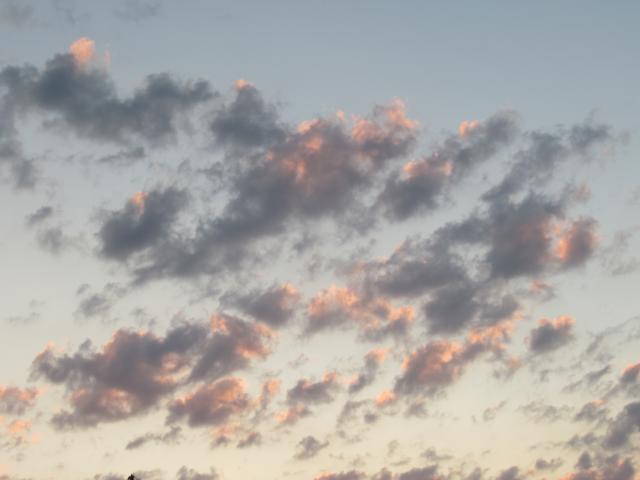 Zonder titel.