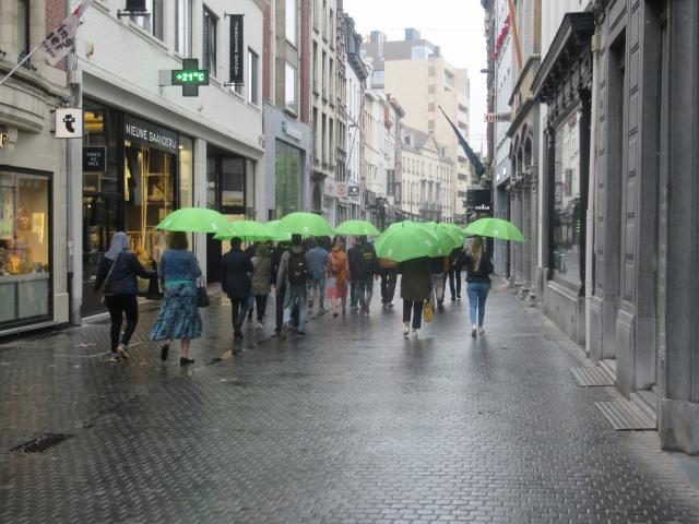 De groene groep.