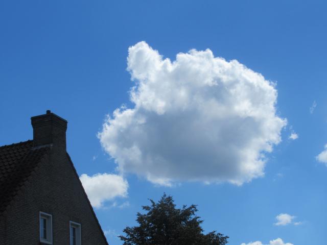 Jongetje-Met-Traan-wolk.