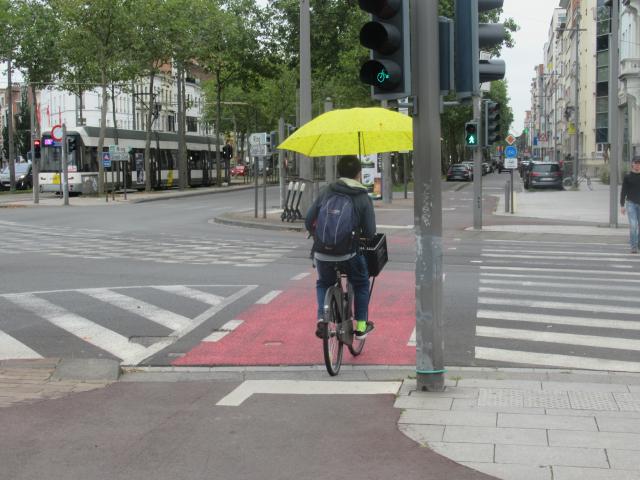 Geel goed beschermd.
