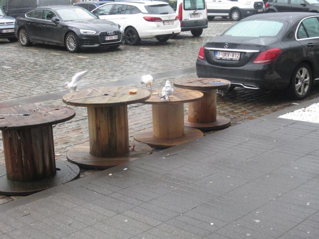 De voederplAAts.