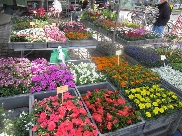 Bloementijd.