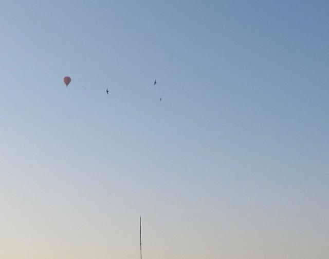 BAllon en zwAluwen.