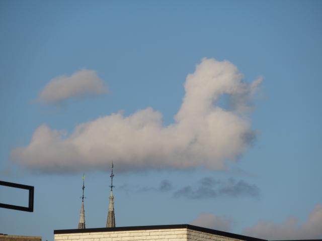 De sledewolk.