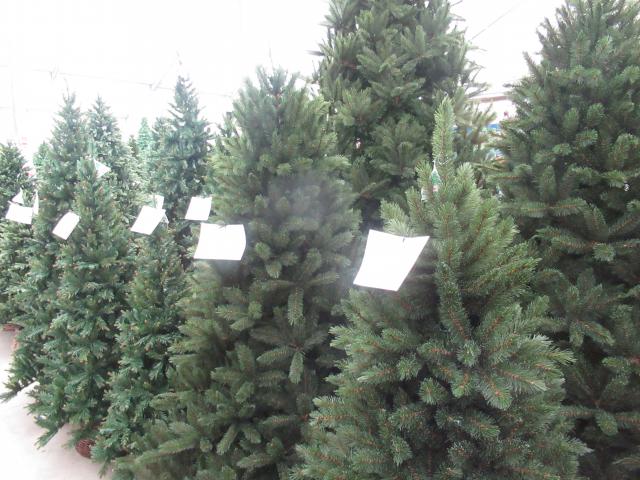 Prijsbomen.
